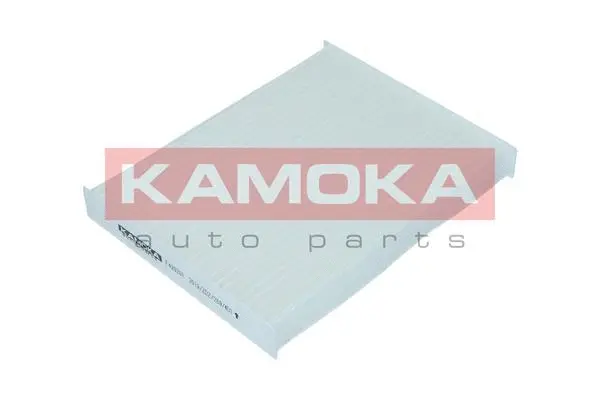 Salono filtras KAMOKA F420201