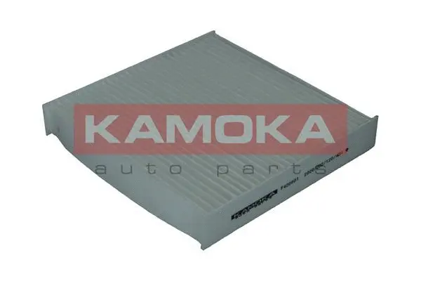 Salono filtras KAMOKA F420601