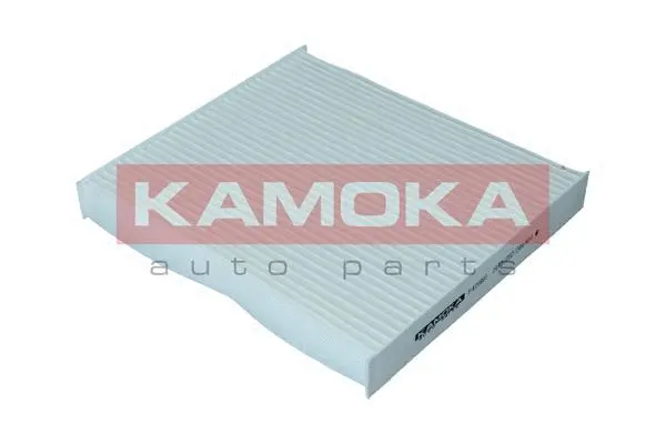 Salono filtras KAMOKA F420801