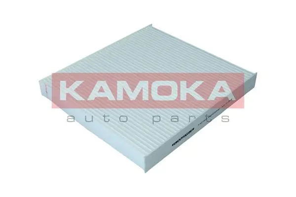 Salono filtras KAMOKA F421901