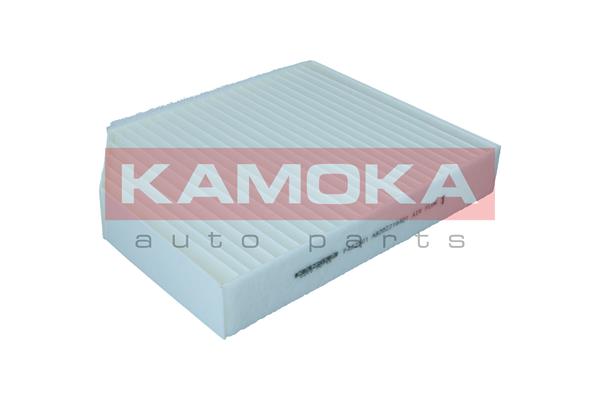 Salono filtras KAMOKA F422601