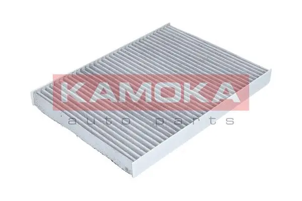 Salono filtras KAMOKA F500201