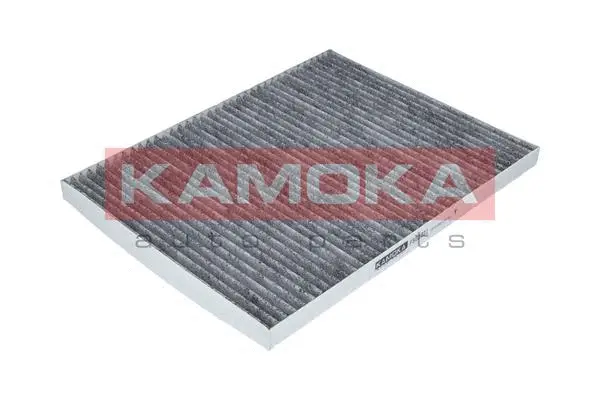 Salono filtras KAMOKA F500301