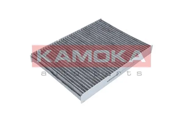 Salono filtras KAMOKA F500401