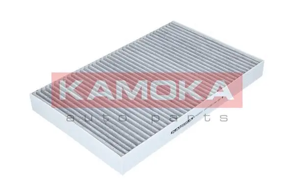 Salono filtras KAMOKA F500801
