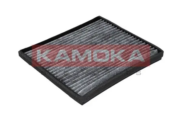Salono filtras KAMOKA F502001