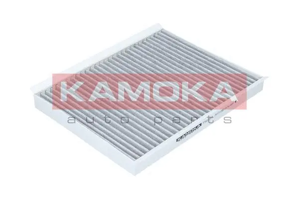 Salono filtras KAMOKA F502301