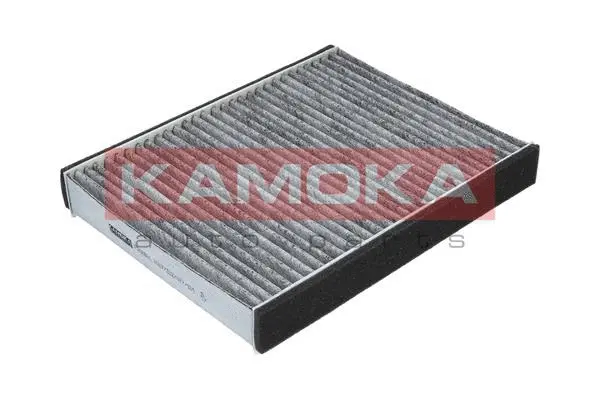 Salono filtras KAMOKA F502801