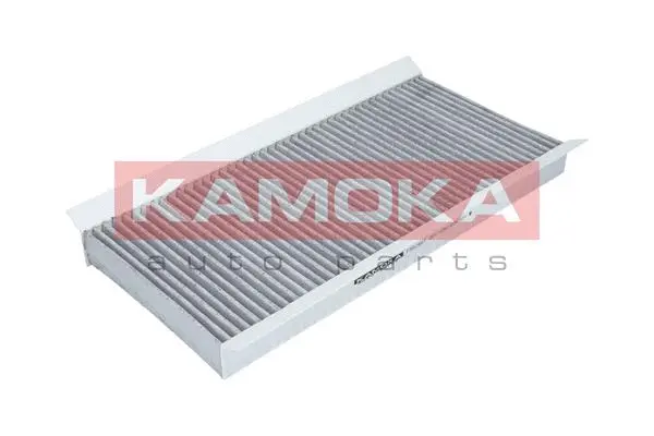 Salono filtras KAMOKA F502901