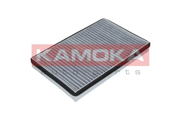 Salono filtras KAMOKA F503101