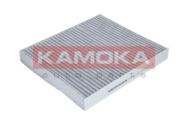 Salono filtras KAMOKA F503301