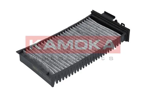 Salono filtras KAMOKA F503501