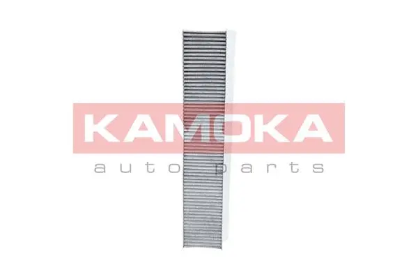 Salono filtras KAMOKA F503601