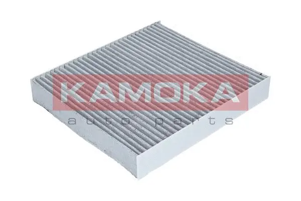 Salono filtras KAMOKA F503801
