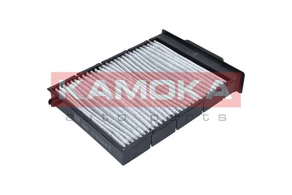 Salono filtras KAMOKA F504001