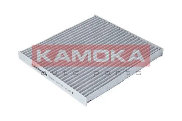Salono filtras KAMOKA F504101