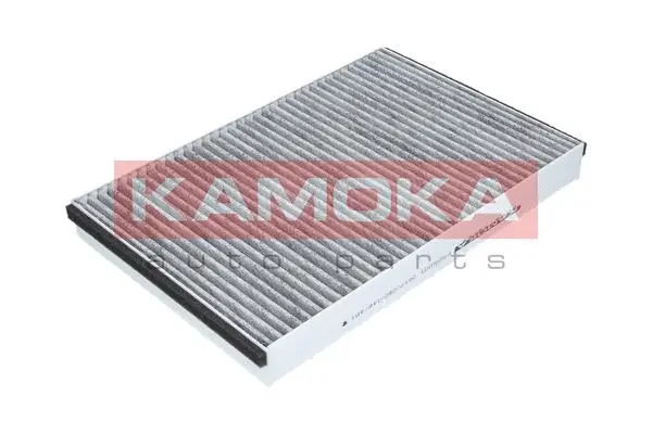 Salono filtras KAMOKA F505001