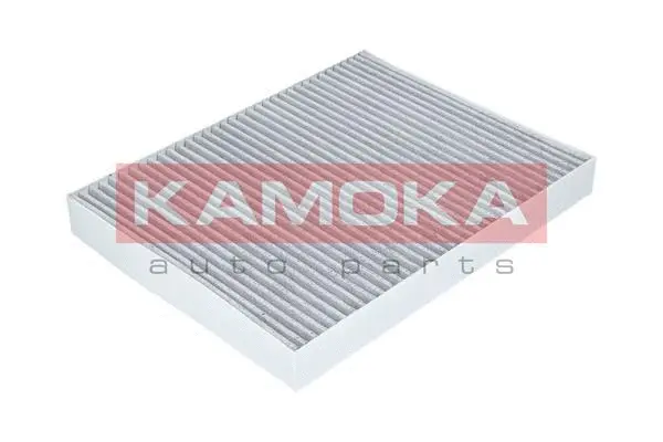 Salono filtras KAMOKA F505101