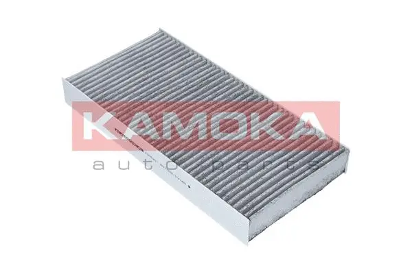 Salono filtras KAMOKA F505201