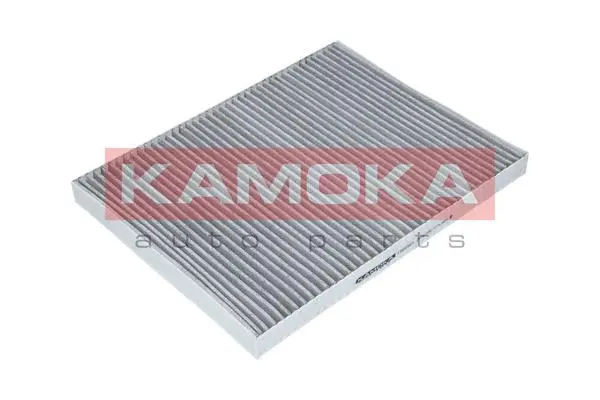 Salono filtras KAMOKA F505801