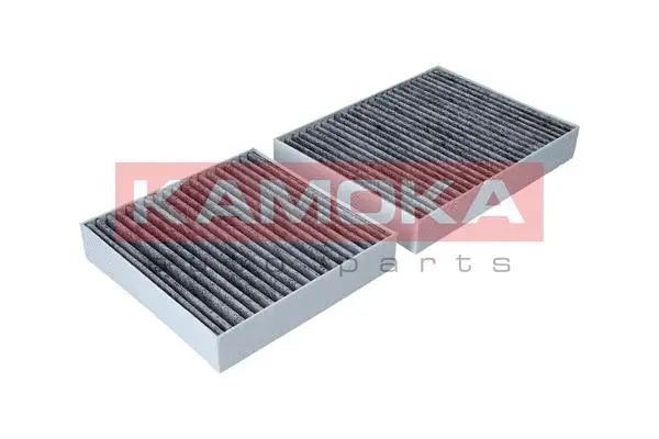 Salono filtras KAMOKA F506101