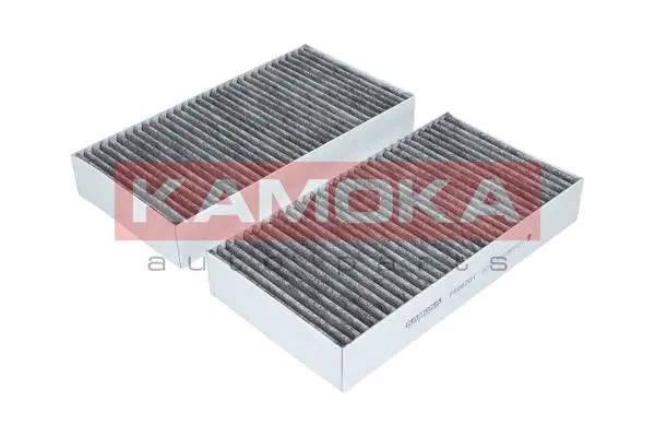 Salono filtras KAMOKA F506201