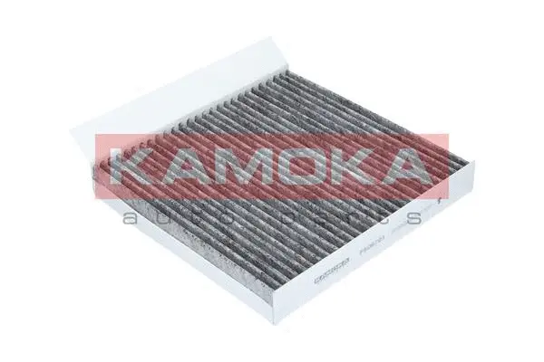 Salono filtras KAMOKA F506701