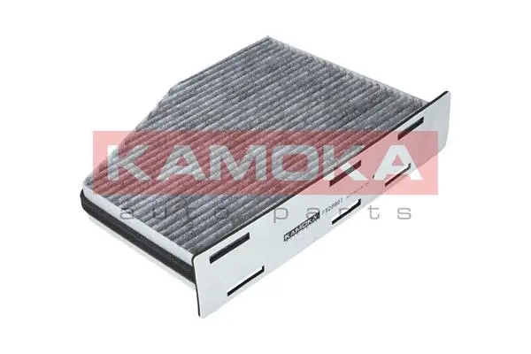 Salono filtras KAMOKA F506901