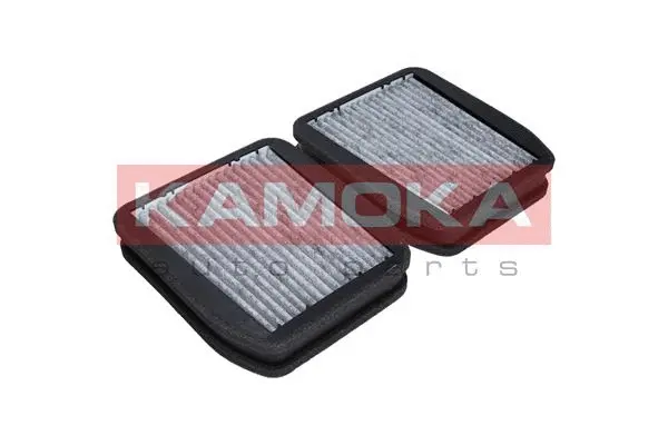 Salono filtras KAMOKA F507201