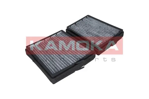 Salono filtras KAMOKA F507301