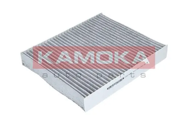 Salono filtras KAMOKA F507401