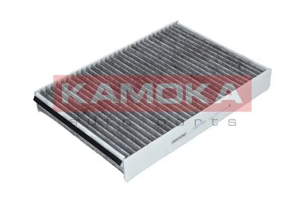 Salono filtras KAMOKA F507701