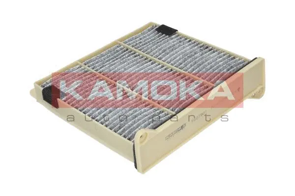 Salono filtras KAMOKA F507901