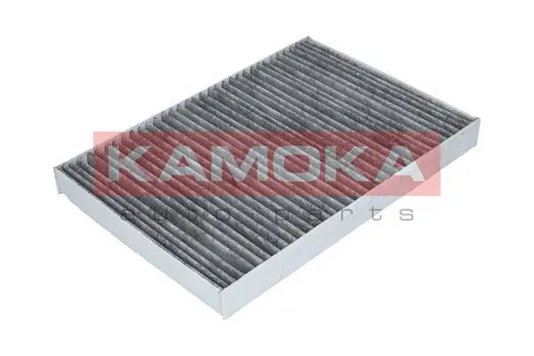 Salono filtras KAMOKA F508301