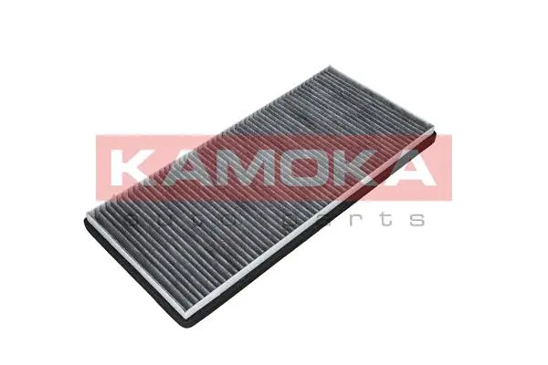 Salono filtras KAMOKA F508501