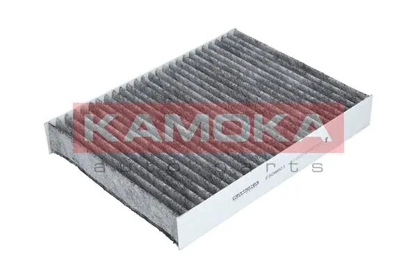 Salono filtras KAMOKA F508601
