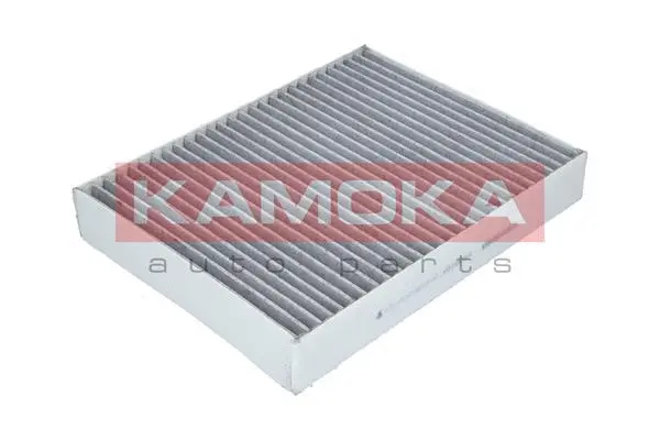Salono filtras KAMOKA F508701