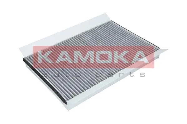 Salono filtras KAMOKA F509001