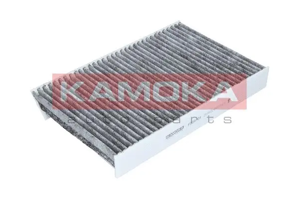 Salono filtras KAMOKA F509101