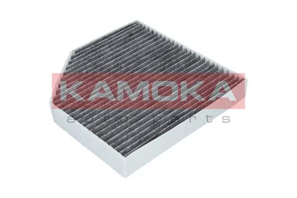 Salono filtras KAMOKA F509301