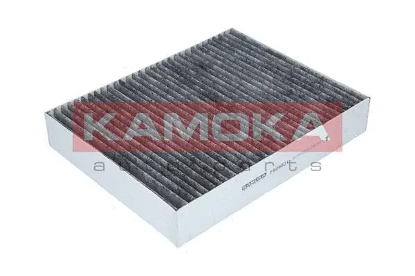 Salono filtras KAMOKA F509501