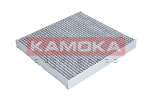 Salono filtras KAMOKA F509601
