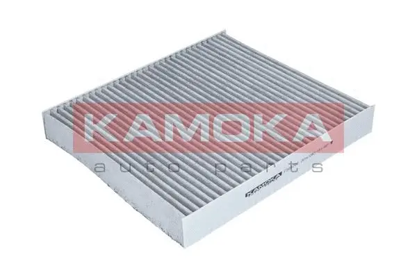 Salono filtras KAMOKA F509701