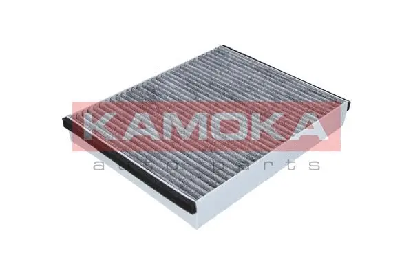 Salono filtras KAMOKA F509801