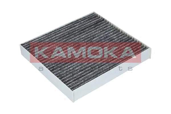 Salono filtras KAMOKA F509901