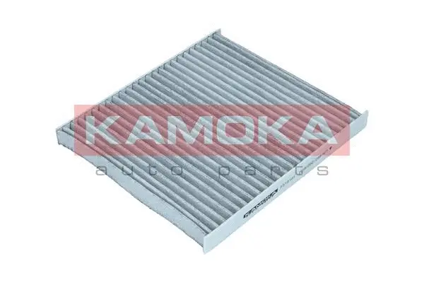 Salono filtras KAMOKA F510101