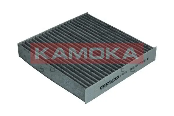 Salono filtras KAMOKA F510301