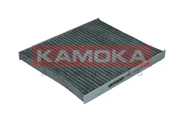 Salono filtras KAMOKA F510701