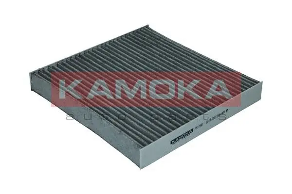 Salono filtras KAMOKA F511501