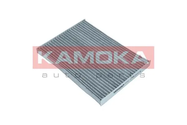 Salono filtras KAMOKA F512101